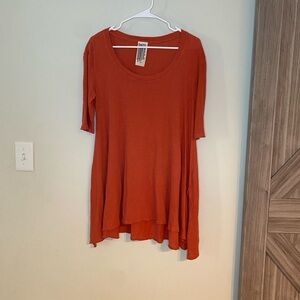 Free People Terracotta Tunic Top